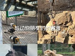 -合肥野生动物园