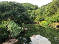 -羡餐厅·杭帮菜·淳菜(千岛湖自由洲际殿店)