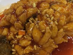 松鼠桂鱼-协和菜馆(凤凰街店)