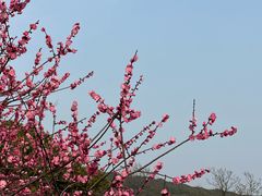 -无锡梅园公园