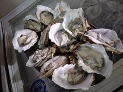 碳烧生蚝-豪园台山碳烧生蚝(蓬江江华店)