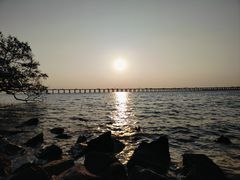 -宝安西湾红树林湿地公园