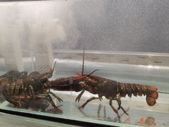 -温度铁板烧(亚泰大街店)