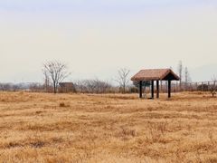 -良渚古城遗址公园