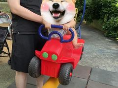 -荔湾区儿童公园