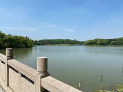 -昆山城市生态森林公园