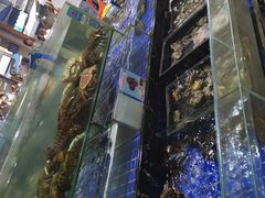 -三亚新鸿港水果一级批发市场