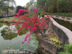 -广州莲花山旅游区