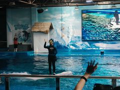 -石林冰雪海洋世界