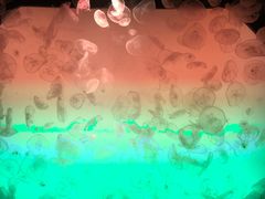 -沈阳海洋探索中心