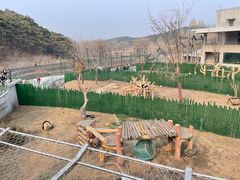 -沈阳森林动物园