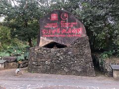 -海口火山口国家地质公园