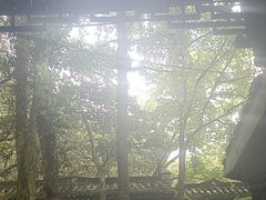 -富春桃源风景区