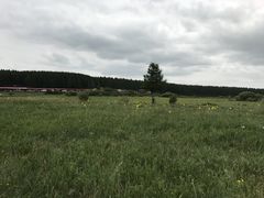 -塞罕坝国家级自然保护区