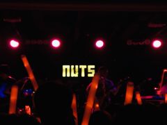 -坚果NUTS