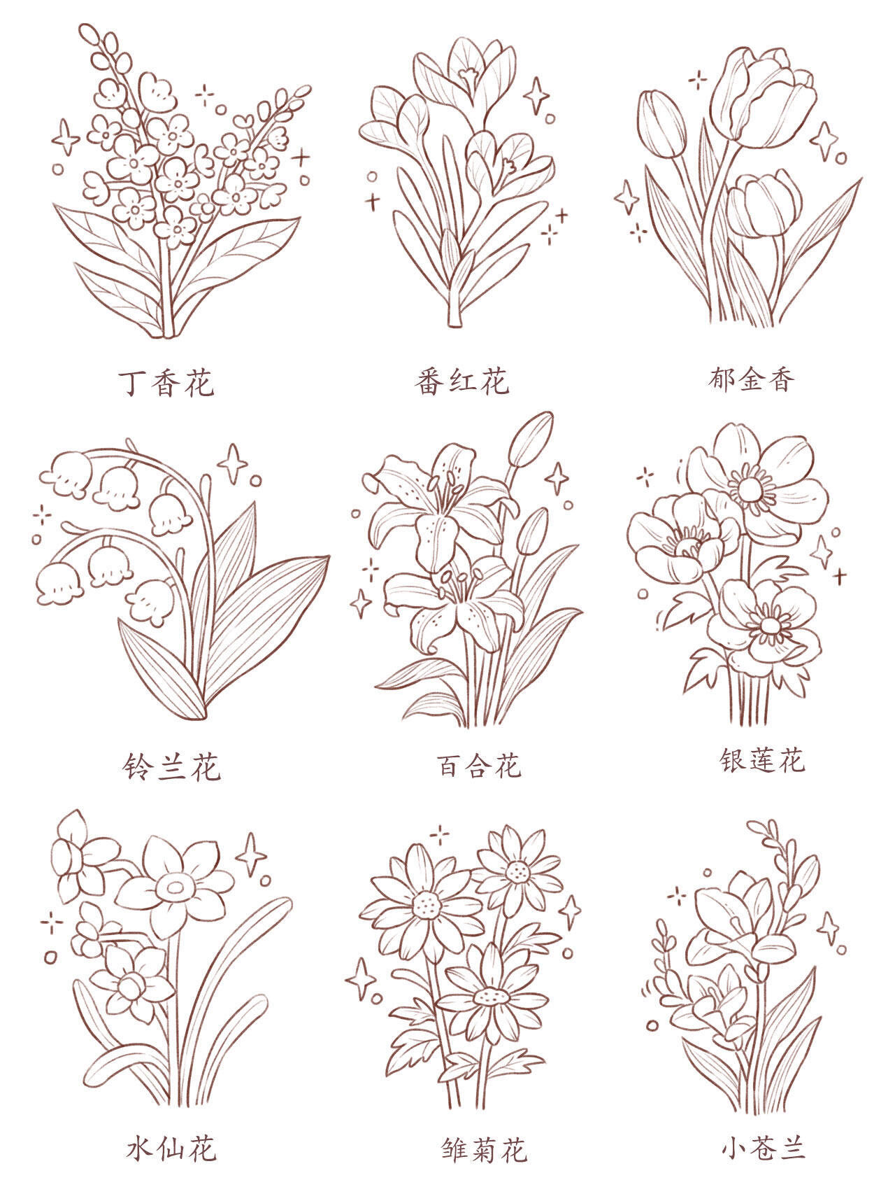 插画教学|🌸九宫格花卉线稿合集|||丁香花