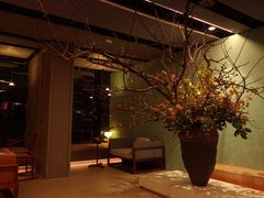 -璞素(浦东店)