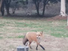 -南京市江宁方山