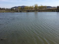 -羊亭河湿地公园