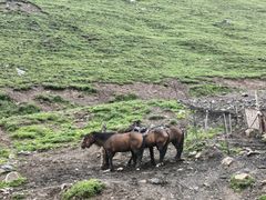 -新疆那拉提国家旅游度假区
