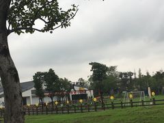 -田园东方蜜桃村的田野营地
