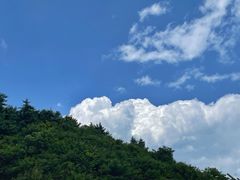 -秦岭风景区