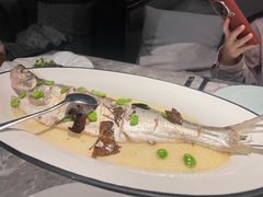 -同仁堂粹和餐厅·食养养生宴(新大都店)