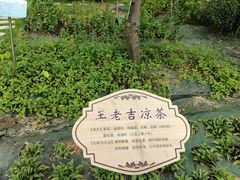 -广东中医药博物馆