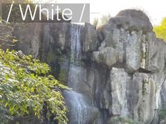 -东极岛景区