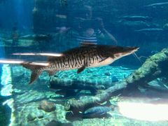 -广东省拱北口岸中国旅行社(华宾营业部)