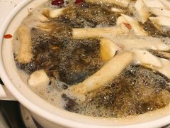 -土连锅·现熬养生汤锅(梁家巷店)