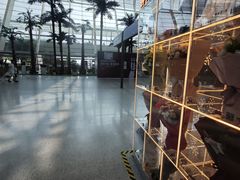 -合肥新桥国际机场-航站楼
