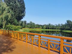 -东郊湿地公园