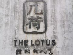 -几荷·恰似故人来(秀水广场店)