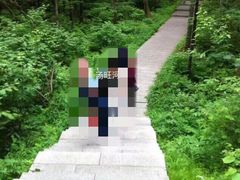 -汤旺河林海奇石景区