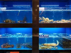水产区-金时代顺风大酒店(临港百联店)