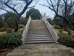 -桃花岛景观公园