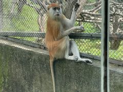 -宁波野生动物园