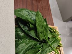 -蝎王府羊蝎子(虎坊桥总店)