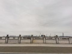 -华侨公园