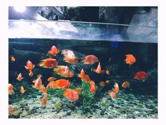 -福州罗源湾海洋世界旅游区