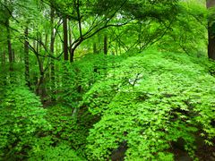 -共青国家森林公园-南大门停车场