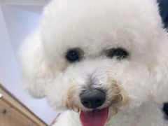 -宠福鑫康馨动物医院·骨科·眼科