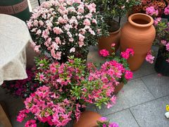 -云溪植物园