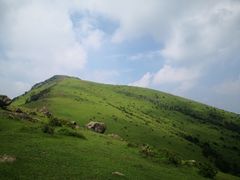 -大姆山草场