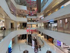 -岭南站NOVA