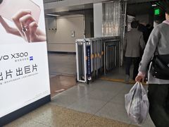 -大望路(地铁站)