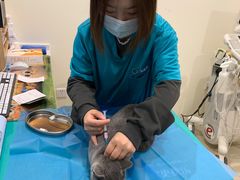 -美迦爱-牙专科·兔科·骨科诊疗中心(北苑店)