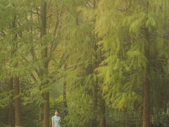 -重庆彩云湖湿地公园