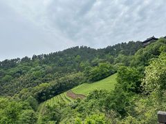 -敬亭山风景名胜区